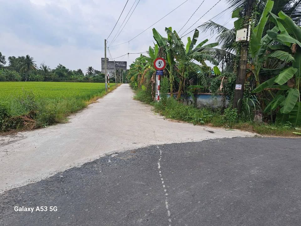 Đất thổ cư 1000m² tại Ấp 8, xã Nhựt Chánh, Bến Lức - Đầu tư sinh lời ngay!