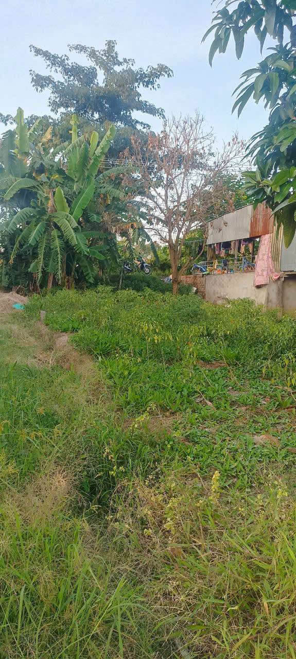 Đất nền Nhơn Mỹ, Chợ Mới An Giang 193m² giá 520 triệu - Mặt tiền đường bê tông