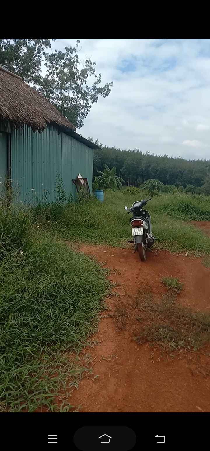 Đất nền Tân Phước Đồng Phú 480m² giá 700 triệu - Cơ hội đầu tư hấp dẫn!