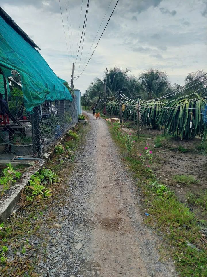 Đất nền Hòa Phú Châu Thành 105m² giá 360 triệu - Chính chủ bán gấp!