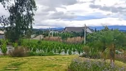 Đất nền 1034m² tại Làng Chùa, Đức Trọng - Giá 1.99 tỷ, Sổ hồng mới 2025!