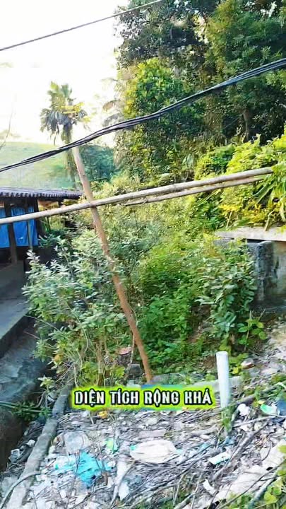 Đất nền Ngọc Lập Yên Lập Phú Thọ 2500m² giá 2.1 tỷ - Cơ hội đầu tư tuyệt vời!