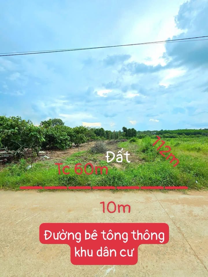 Đất nền Cư Ni, Ea Kar 1167m² giá chỉ 3xx triệu - Tiềm năng sinh lời cao!