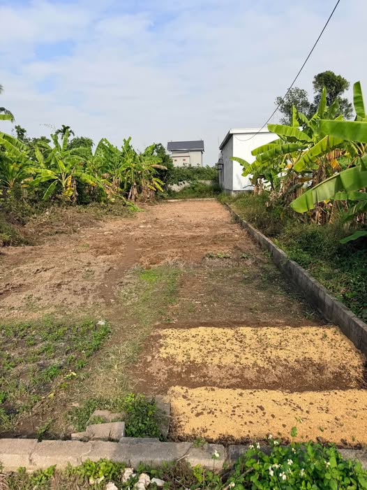 Đất nền Văn Tố 153m² giá 1.6 tỷ - Đầu tư sinh lời ngay lập tức!