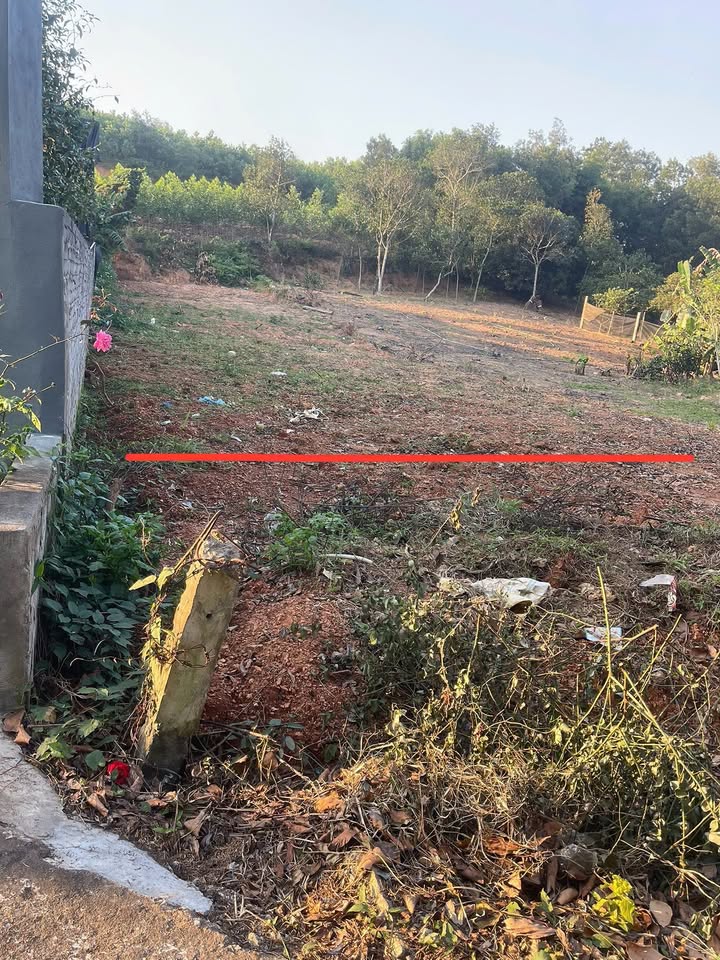 Đất nền Thọ Bình, Triệu Sơn 530m² giá chỉ 600 triệu - Bán gấp chính chủ!