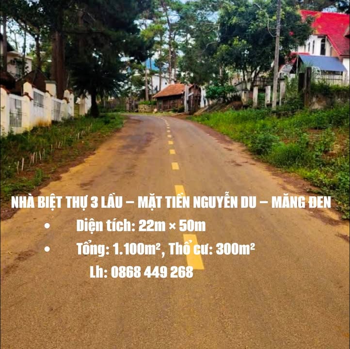 Biệt thự 3 tầng mặt tiền đường Nguyễn Du, Măng Đen 1.100m² - Đầu tư sinh lời ngay!