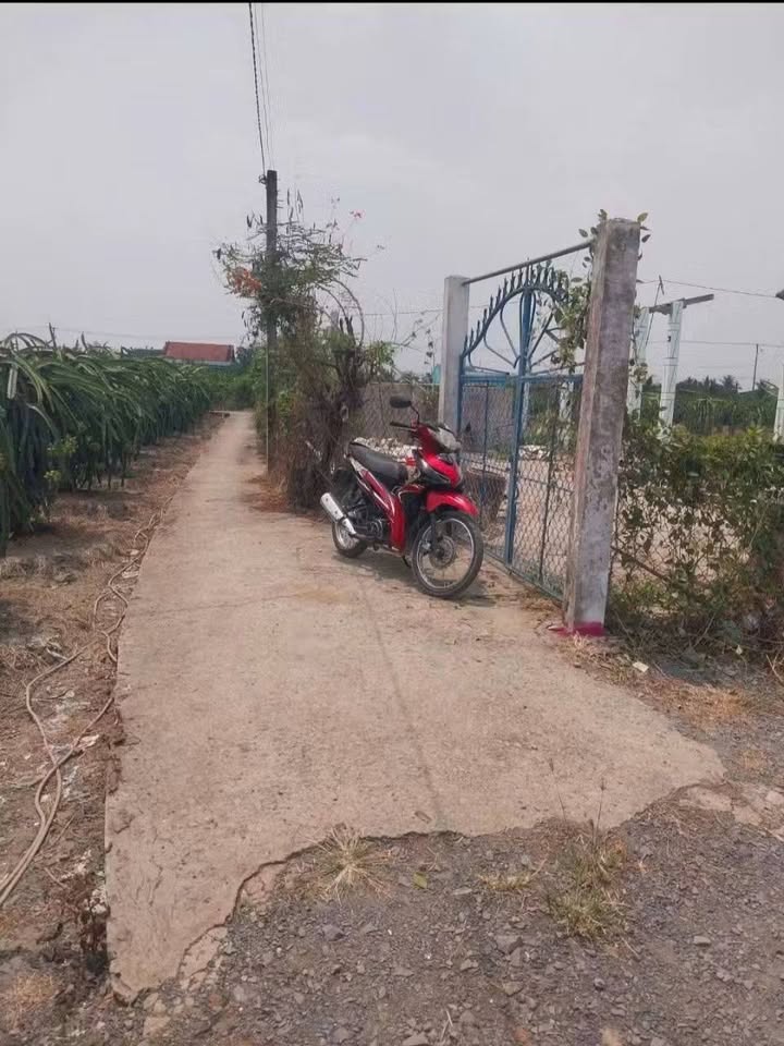 Đất thổ cư Phước Tân Hưng, Châu Thành 107m² giá chỉ 190 triệu - Sổ hồng có sẵn!