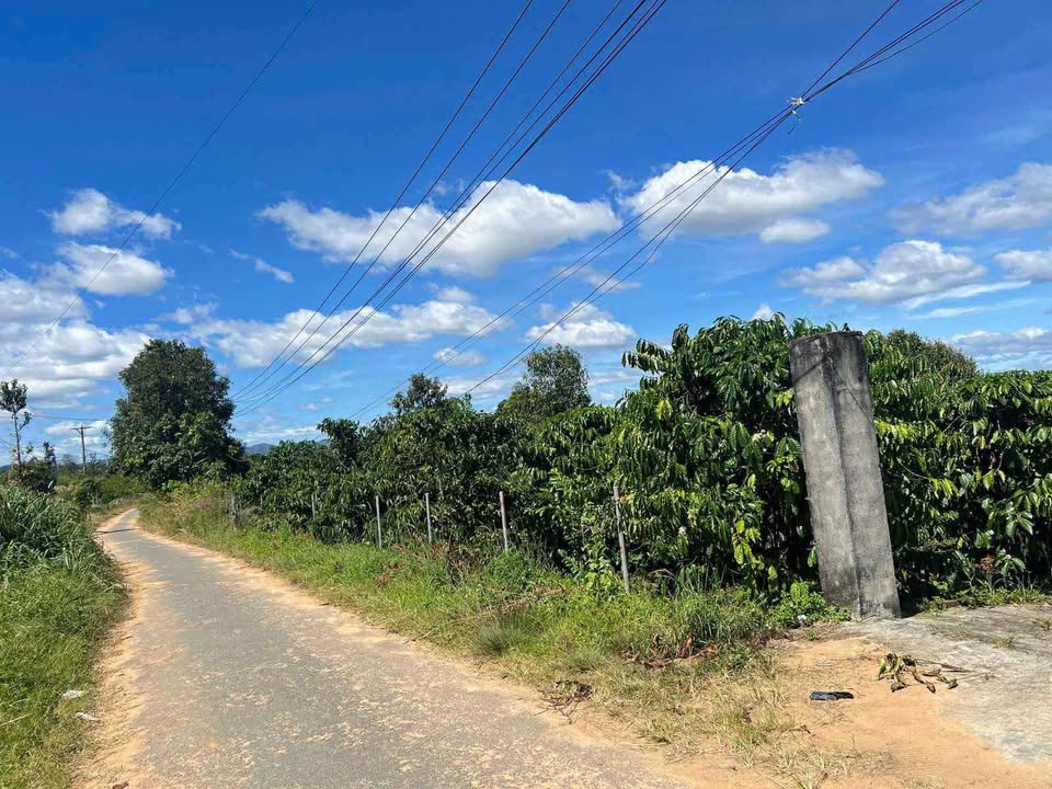 Đất thổ cư 400m² tại Hà Mòn, Đăk Hà - Giá chỉ 1 tỷ VND - Cơ hội đầu tư tuyệt vời!