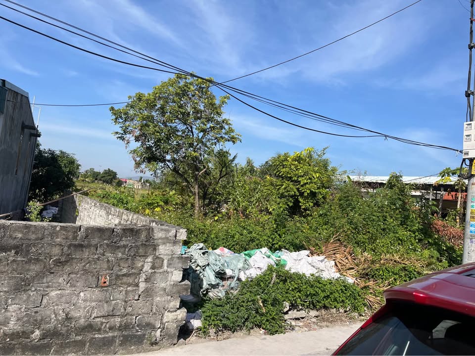 Đất nền Uông Bí 230m² giá 1.15 tỷ - Mặt tiền 6m hướng Đông gần trường học!