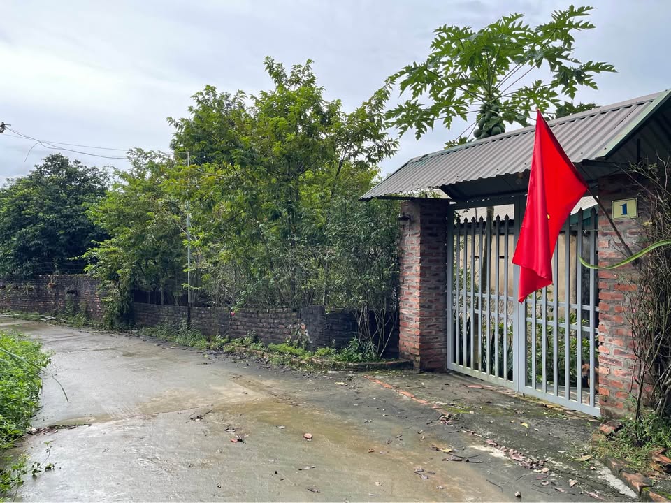 Mảnh đất 200m² tại phường Dân Chủ, Hòa Bình - Giá chỉ 1 tỷ, mặt tiền rộng 10m!