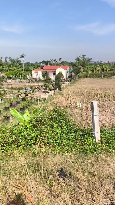 Lô đất thổ cư Nghĩa Bình 100m² giá chỉ 1.2 tỷ - Cơ hội đầu tư hấp dẫn!