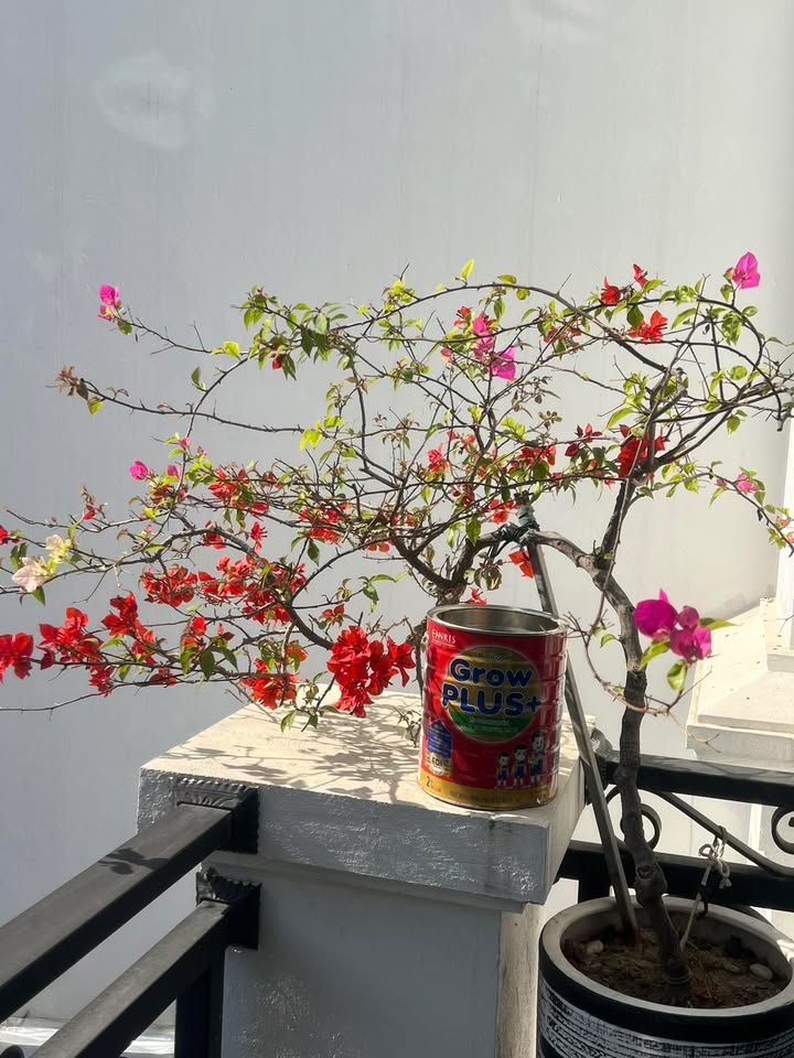 Nhà phố Đồng Nhân, Hai Bà Trưng 40m² giá 1 tỷ - Đầy đủ công năng, sẵn vào ở!