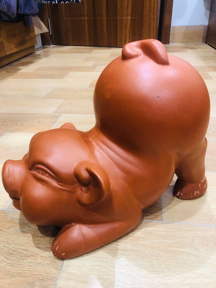 Nhà cấp 4 cho thuê mặt tiền đường Nguyễn Tất Thành 140m² giá 11 triệu - Kinh doanh lý tưởng!