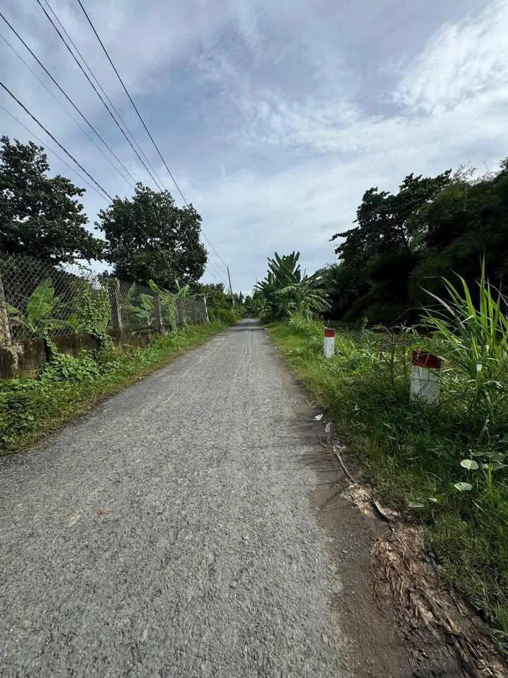 Đất mặt tiền nhựa Hòa Thuận, Châu Thành, Trà Vinh 2300m² - Vị trí đắc địa, hướng kênh thoáng mát!