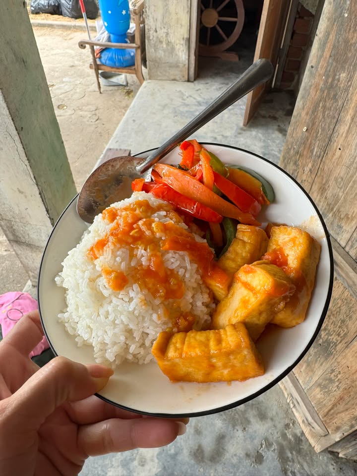 Đất nền Ninh Hiệp 863m² giá 1 tỷ - Cơ hội đầu tư sinh lời!