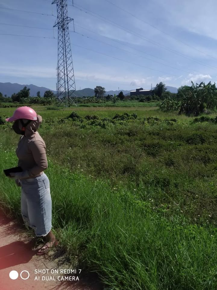 Đất vườn Ninh Lộc 1800m² giá 831 triệu - Bám đường bê tông, tiềm năng đầu tư!