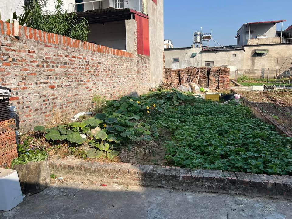 Đất đẹp Đại Tảo, Xuân Giang 110m² giá 1 tỷ - Cơ hội đầu tư tuyệt vời!