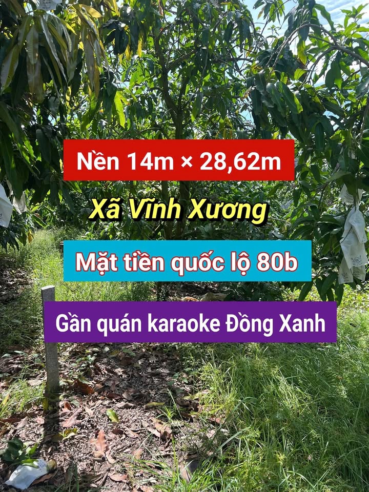 Đất nền 14m x 30m mặt tiền Tỉnh lộ 952, An Giang - Cơ hội đầu tư sinh lời!
