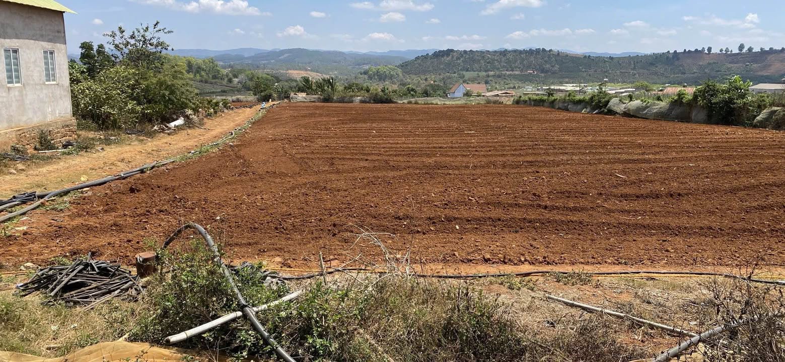 Đất nền xã Tà Hine Đức Trọng 25.200m² giá 5.5 tỷ - Đầu tư sinh lời ngay!