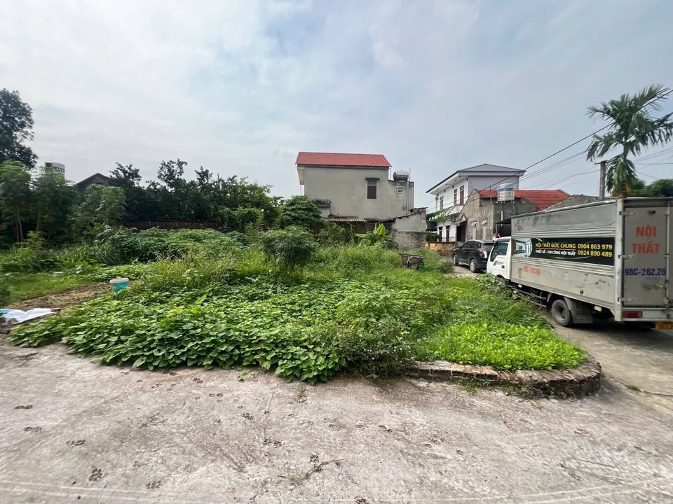 Đất nền Thanh Miếu, Việt Trì 50m² giá 1.1 tỷ - Đầu tư sinh lời ngay!