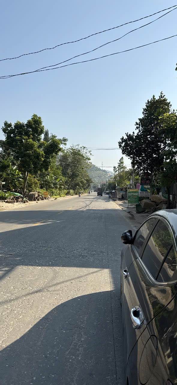 Đất nền Phố Vàng Thanh Sơn 1000m² - Đầu tư sinh lời cao!