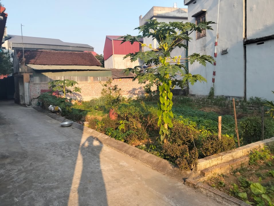 Đất thổ cư 130m² Đồng Trúc, giá thỏa thuận - Đầu tư sinh lời tuyệt vời!