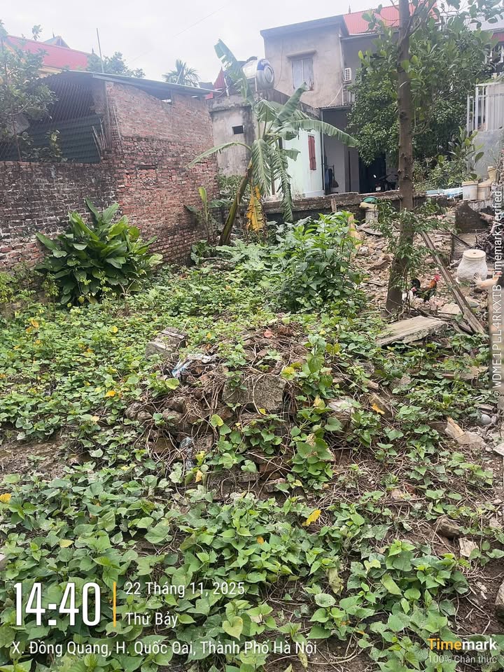 Đất thổ cư 100m² tại thôn Đồng Lư, xã Hưng Đạo, Quốc Oai - Giá thương lượng hấp dẫn!