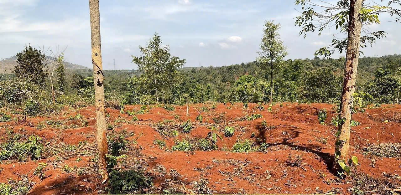 Đất nền Ea Kiết, Cư M'gar, Đắk Lắk 510m² giá 139 triệu - Sổ đỏ chính chủ, đầu tư sinh lời!