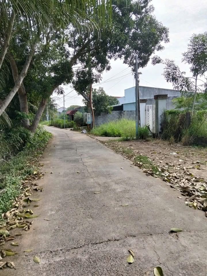 Lô đất thổ cư Bình Thuận 180m² giá 1.45 tỷ - Mặt tiền kênh thoát lũ