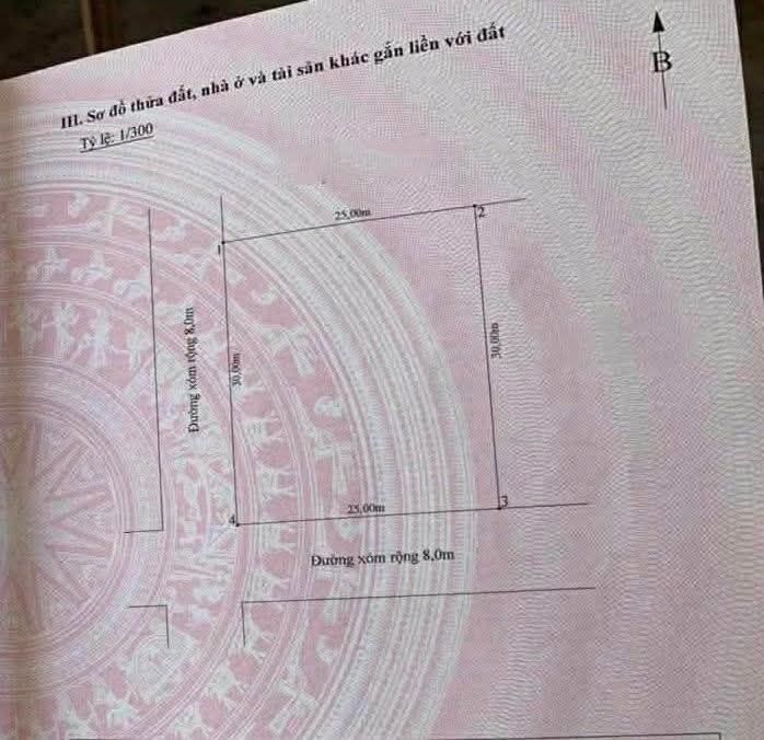 Đất nền lô góc Trấn Dương 750m² giá thỏa thuận - Cơ hội đầu tư tuyệt vời!