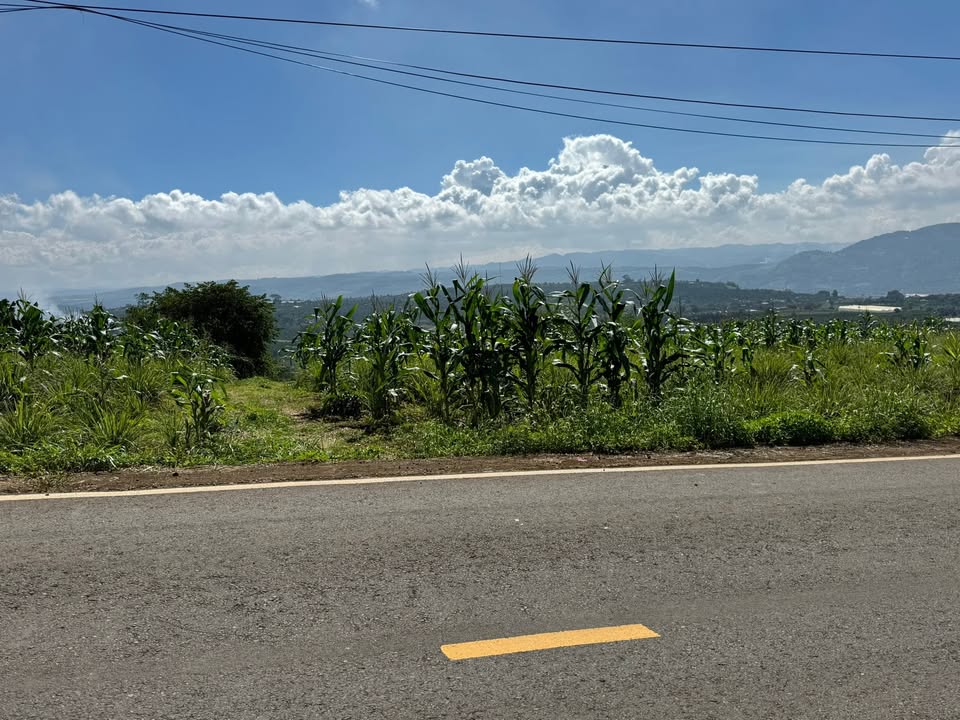 Đất mặt đường nhựa Tân Hà 8300m² giá 4.9 tỷ - Sổ hồng chính chủ