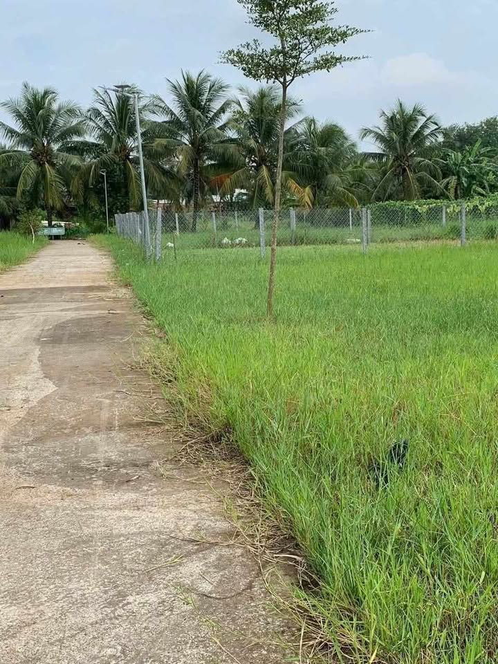 Đất nền An Thạnh, Mỏ Cày 305m² giá 720 triệu - Cơ hội đầu tư hấp dẫn!