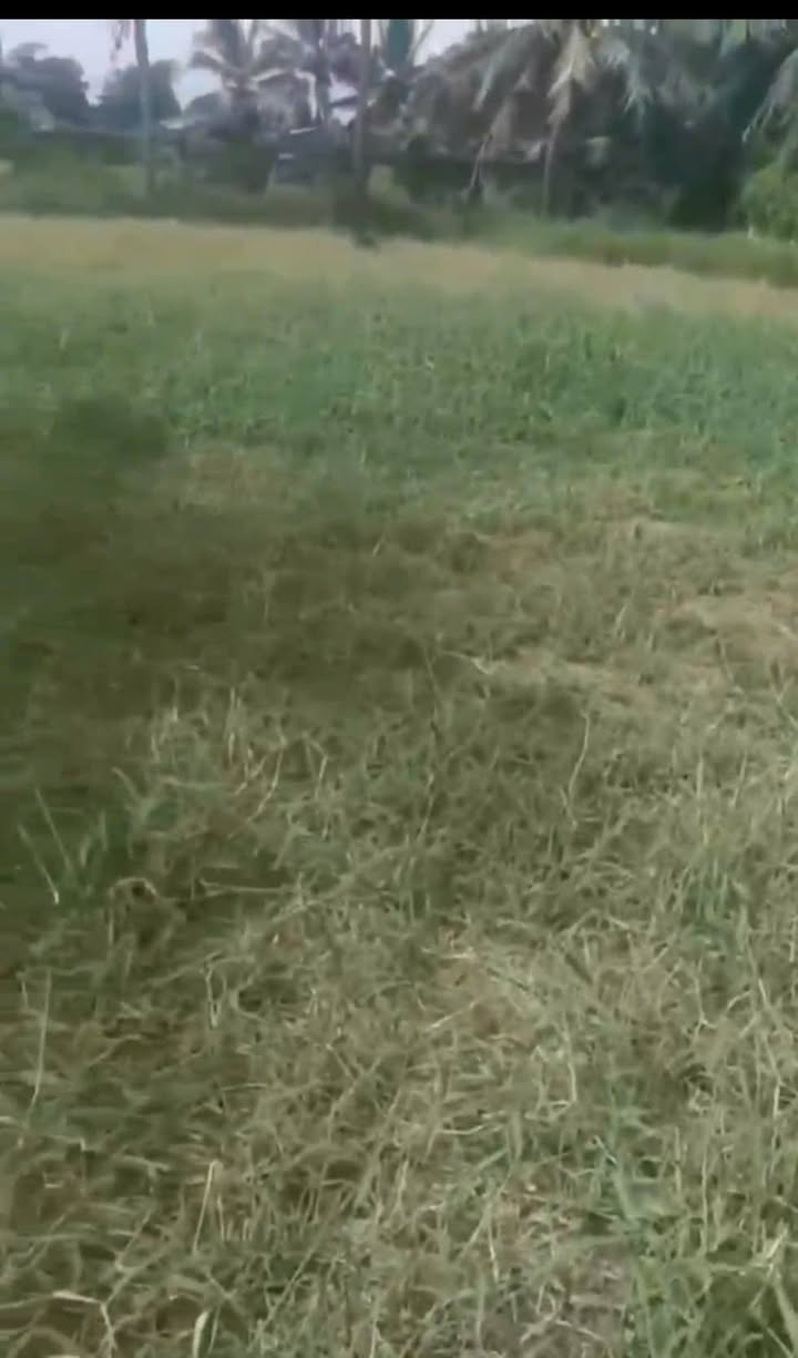 Đất nền mặt tiền huyện lộ 10, xã Mỹ Chánh, 1200m² giá 1.2 tỷ - Cơ hội đầu tư tuyệt vời!