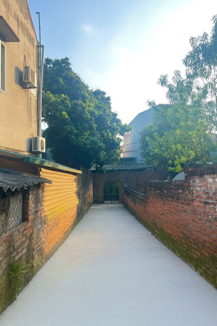 Đất nền Dữu Lâu, Việt Trì 240,6m² - Giá chỉ 1x triệu/m², cơ hội đầu tư tuyệt vời!