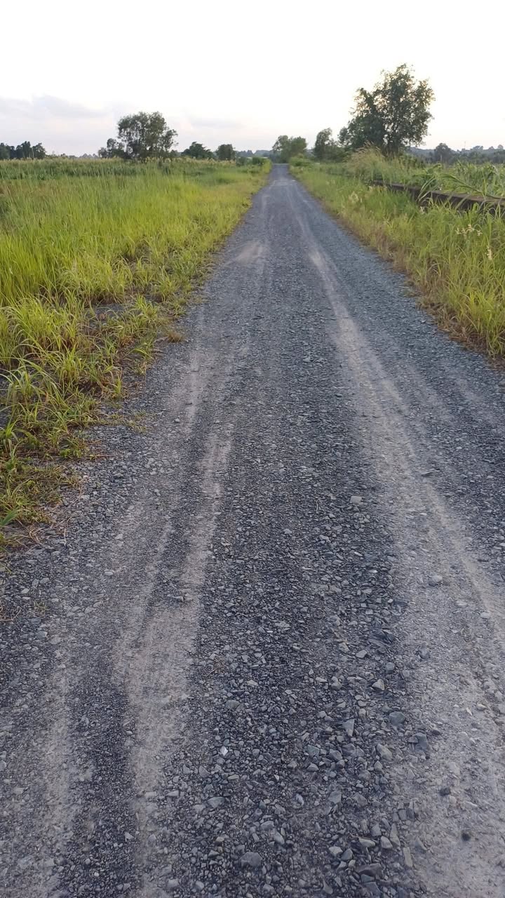 Đất vườn mặt tiền sông Sài Gòn tại Phú Hòa Đông 5200m² - Giá cực tốt, đầu tư sinh lời!