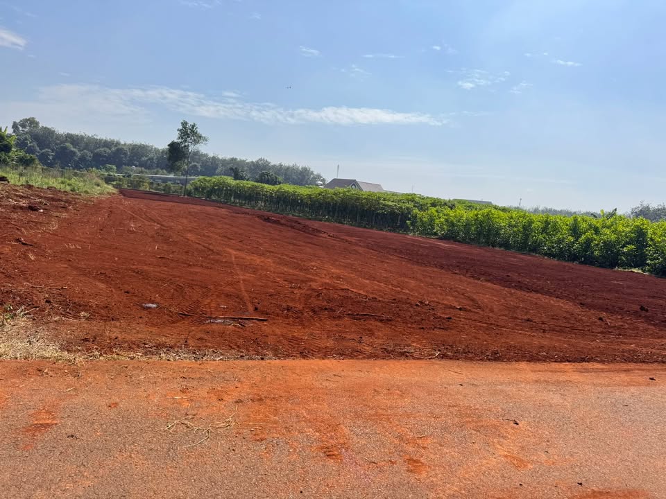 Đất nền Long Phước, Phú Mỹ 504m² giá 1.9 tỷ - Đầu tư sinh lời cao!