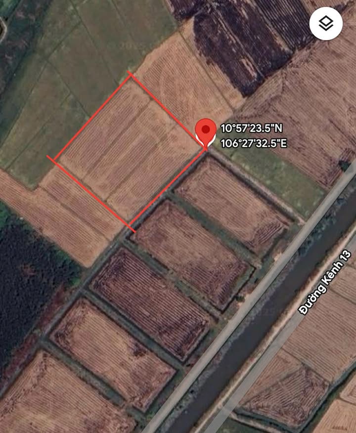 Bán đất lúa 10.063 m² tại xã Tân An Hội, huyện Củ Chi - Giá chỉ 7 tỷ VND!