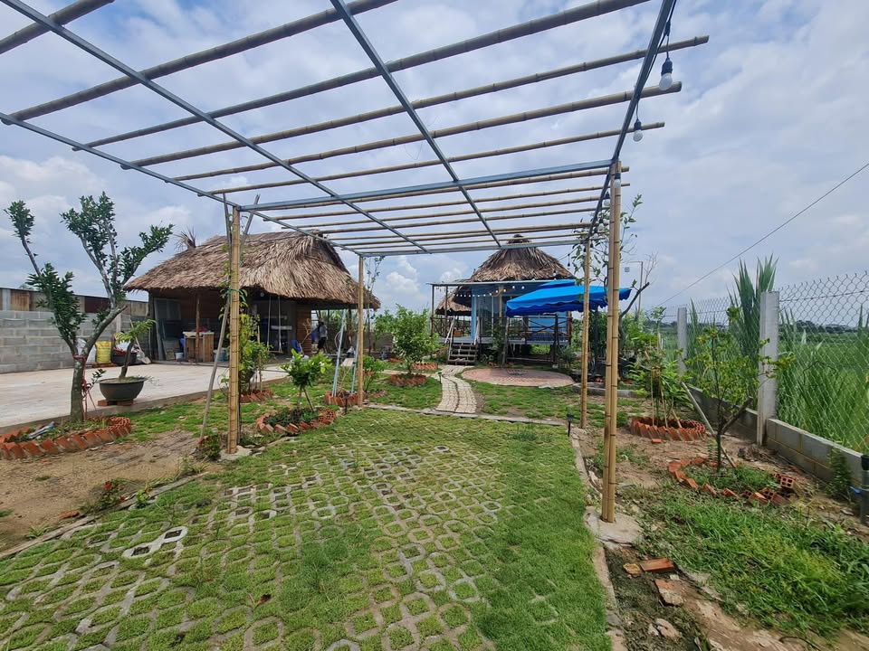 Bán vườn Tân Thạnh Đông, Củ Chi 510m² giá 2.55 tỷ - Tiềm năng phát triển rõ ràng!