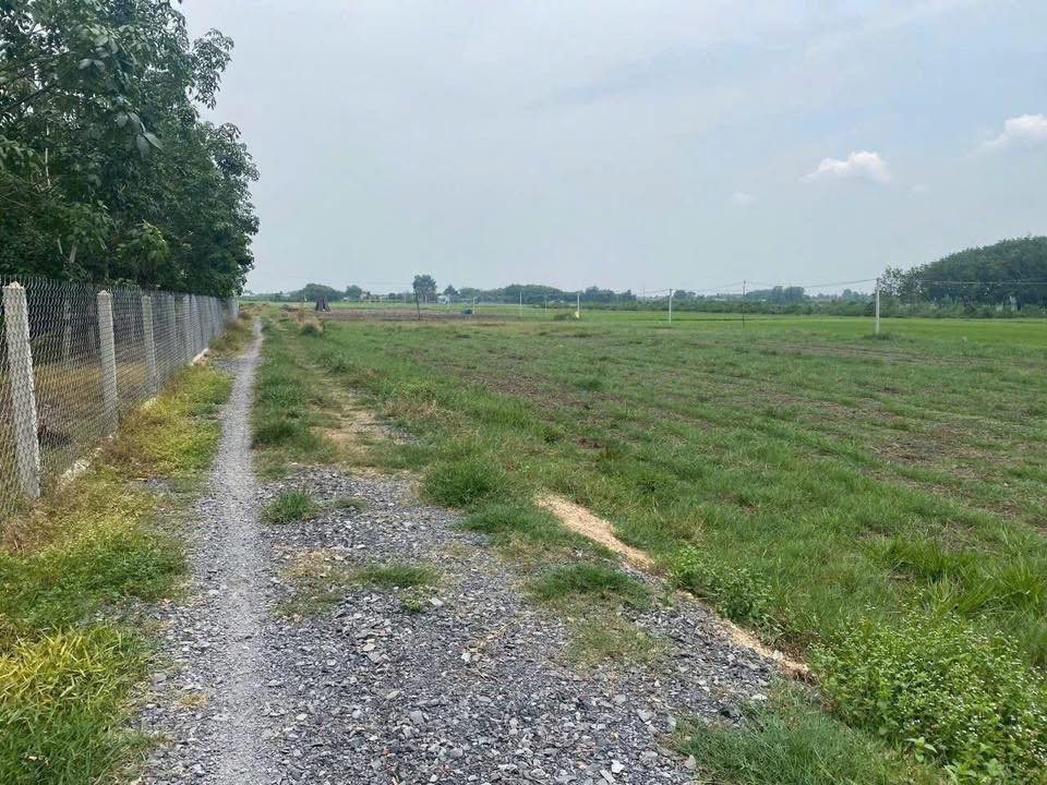 Đất thổ cư Cầu Khởi Dương Minh Châu 150m² - Chính chủ bán gấp!