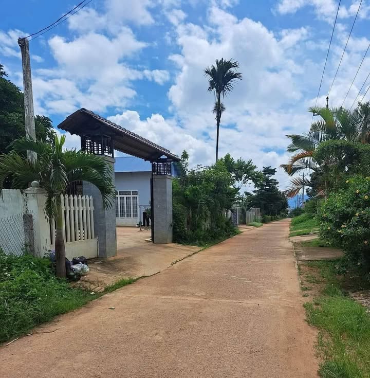 Đất nền đẹp ngay trung tâm xã Quảng Lập 3267m² giá 1.55 tỷ - Sổ đỏ chính chủ!