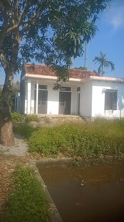 Đất thổ cư Phát Diệm 407m² giá chỉ 1 tỷ - Ngõ xe con vào tận nơi!