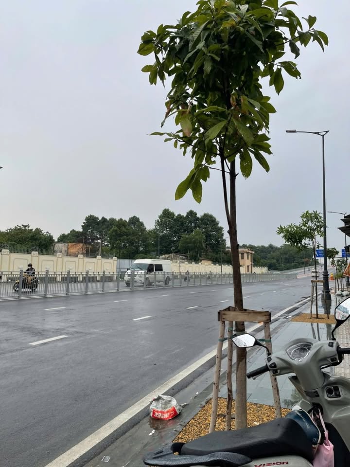 Nhà phố Tân Bình 60m² - 2 mặt tiền Trần Văn Dư, giá thỏa thuận - Tiềm năng đầu tư lớn!