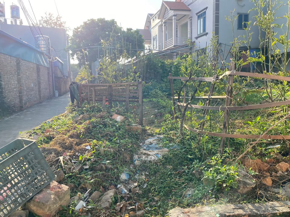 Đất nền thôn Xuân Dục, xã Tân Minh, 52m² giá 1 tỷ - Pháp lý chính chủ, đầu tư hấp dẫn!