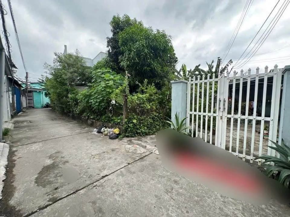 Đất nền Bến Tre 214m² giá 2.1 tỷ - Sổ đỏ chính chủ, hẻm an ninh!