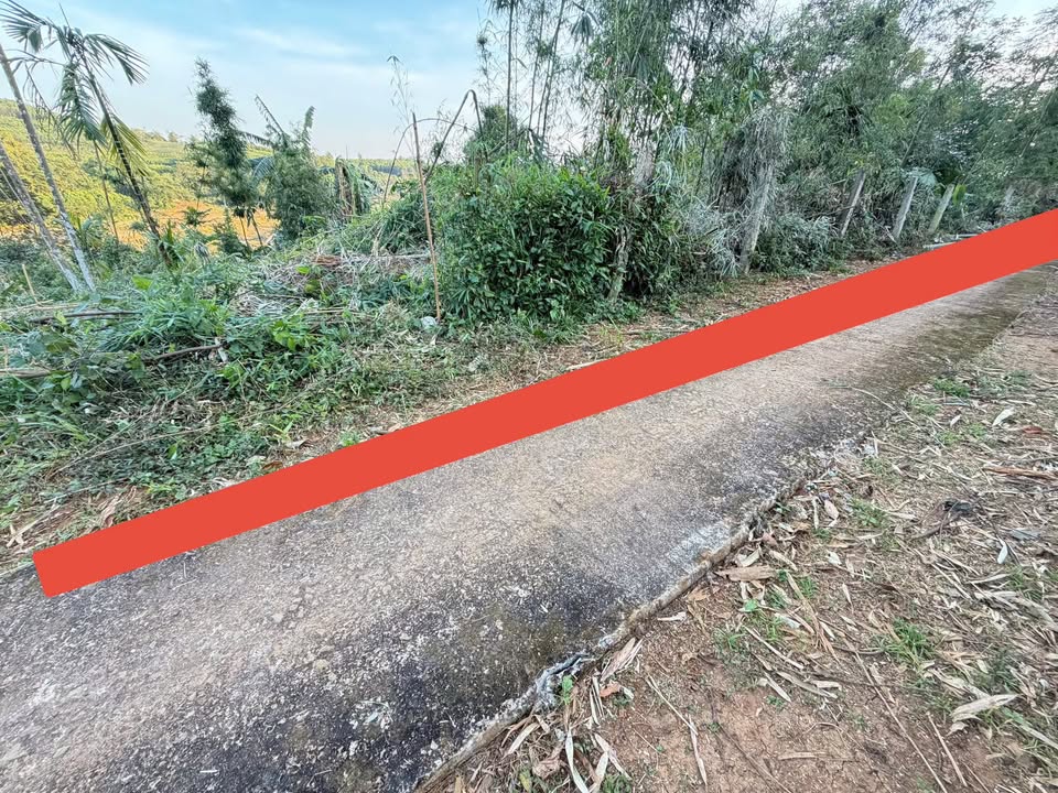 Đất nền Thạch Lập Ngọc Lặc 157m² giá chỉ 70 triệu - Pháp lý rõ ràng, thuận tiện giao thông!