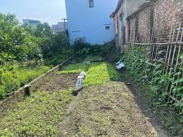 Đất Ngọc Động, Gia Lâm 41m² giá 3.1 tỷ - Sổ đỏ chính chủ, vị trí đẹp!