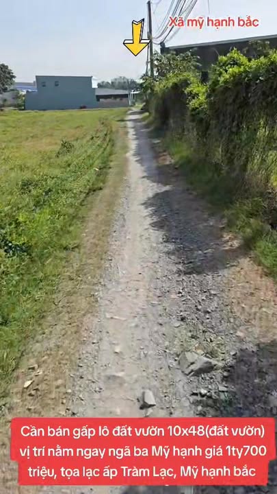 Đất vườn 480m² tại ấp Tràm Lạc, Mỹ Hạnh Bắc chỉ 1.7 tỷ - Cần bán gấp!