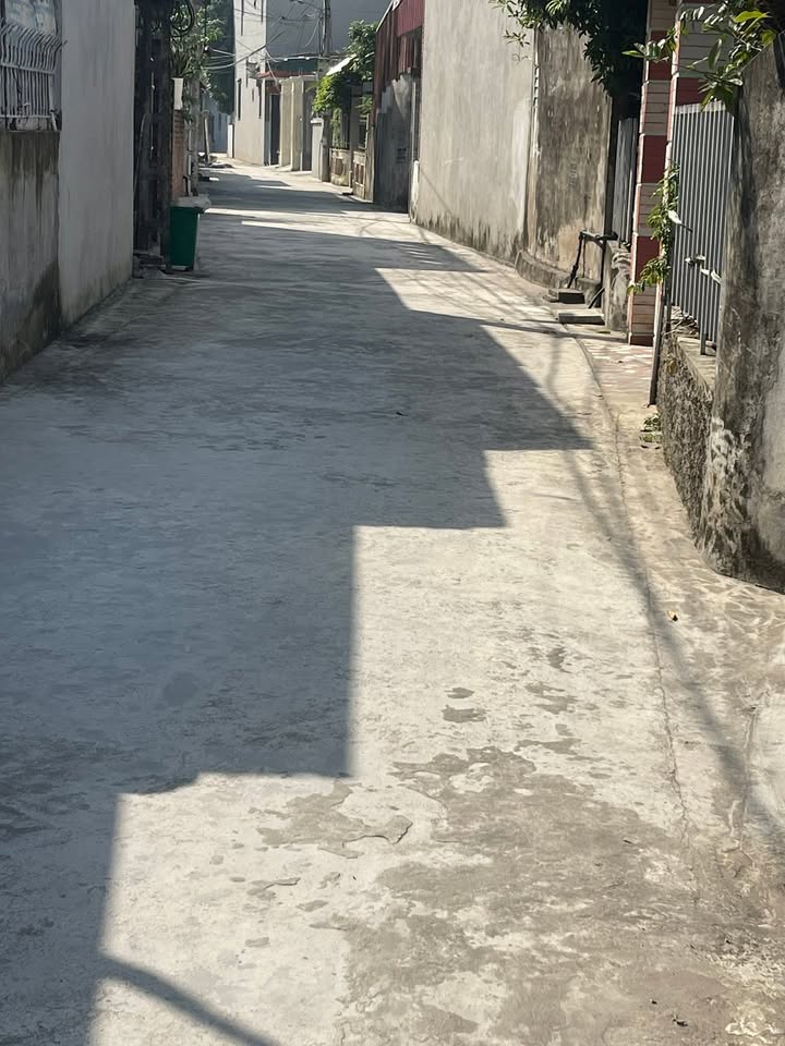 Đất nền Tứ Cường, Thanh Miện, Hải Dương 109m² - Giá thỏa thuận hấp dẫn!