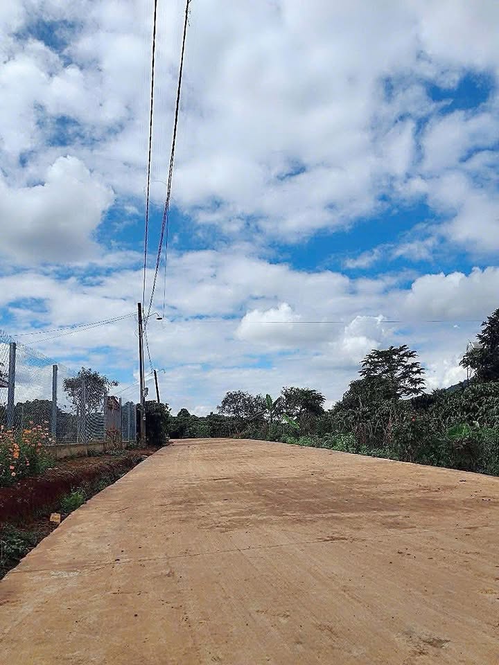 Đất thổ cư Phú Hội 300m² giá chỉ 850 triệu - Cơ hội đầu tư không thể bỏ lỡ!