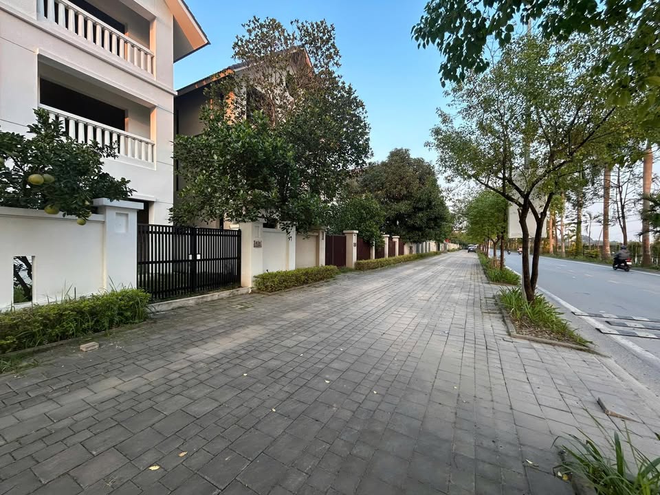 Nhà phố KĐT Sunny Garden City 350m² giá chỉ 14 triệu - Căn góc mặt đường lớn, vô cùng hấp dẫn!